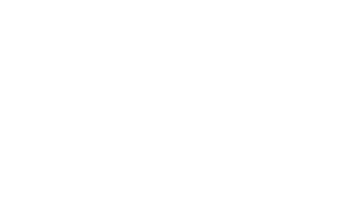 Entity